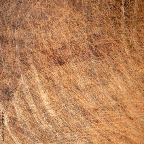 Background wood