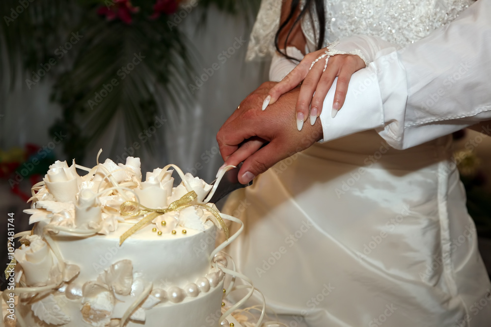 bride and groom cut the wedding cake closeup bride and groom cut the wedding cake closeup
