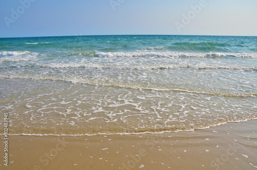 beach and tropical sea