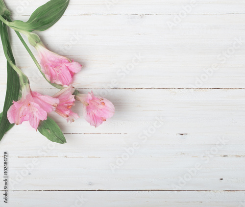 Alstroemeria flowers on white wooden background
