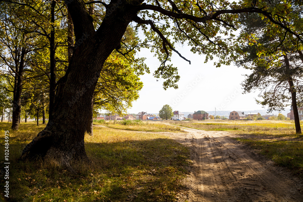 Autumn landscape on a sunny day Autumn landscape on a sunny day
