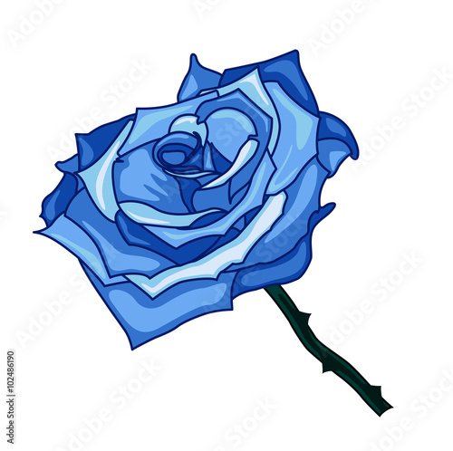 illustration of blue rose on a white background