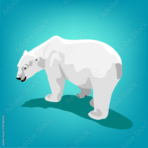 illustration of polar bear on blue background. Eps 10