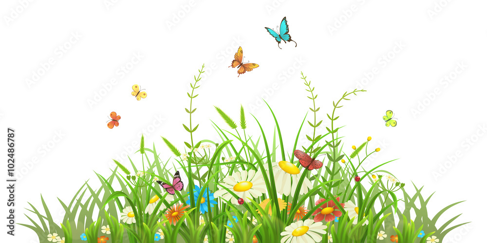 Naklejka Wiosny zielona trawa z kwiatami i motylami na białym tle