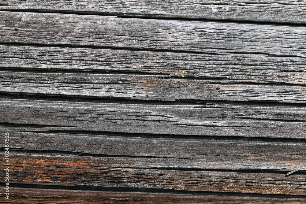 wood background texture old tree wood background texture old tree