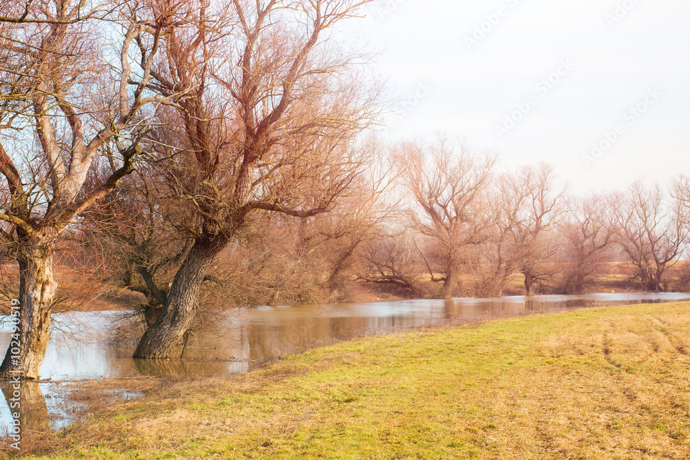 Flooded river on a mild winter day