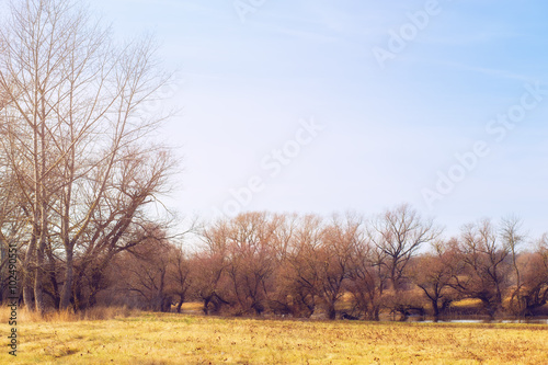 Floodplains on a mild winter day