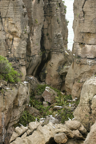 Bizarre rock formed by erosion Punakaiki  New Zealand South Island