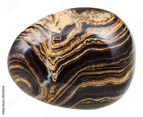 tumbled Stromatolite gemstone isolated on white photo