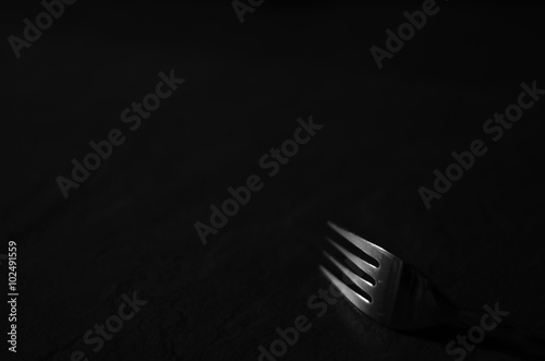 Fork