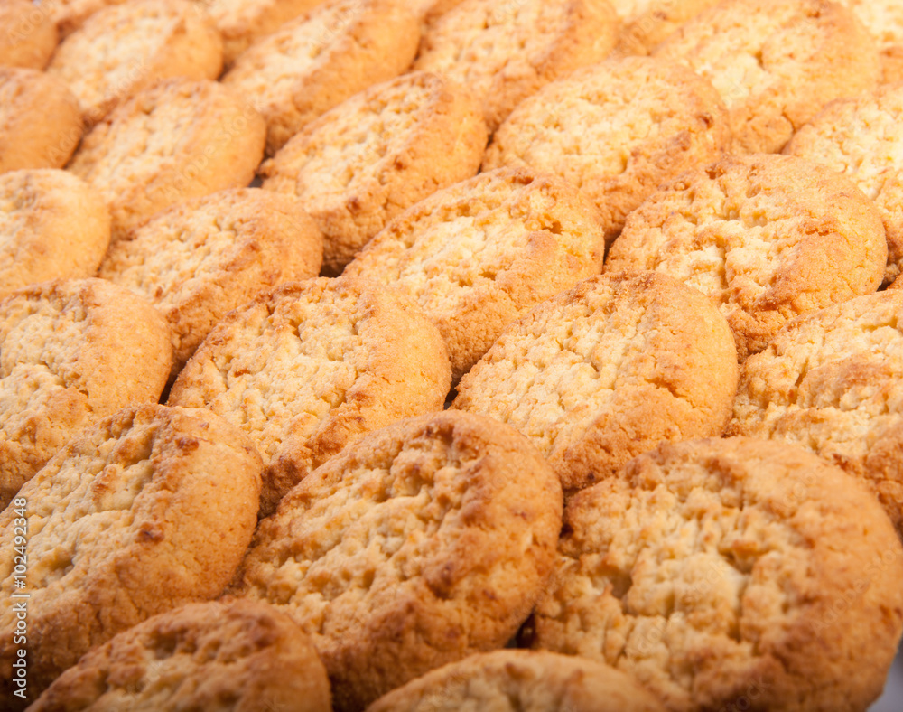 Texture (background) of the cookie in the studio Texture (background) of the cookie in the studio