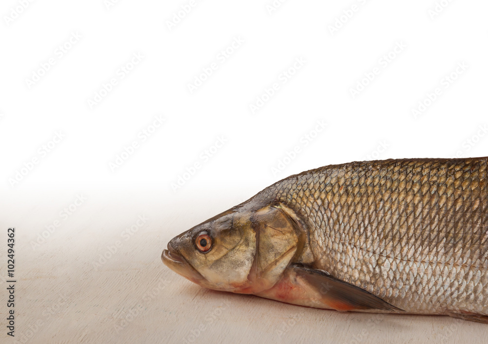 Profile of raw fish Profile of raw fish