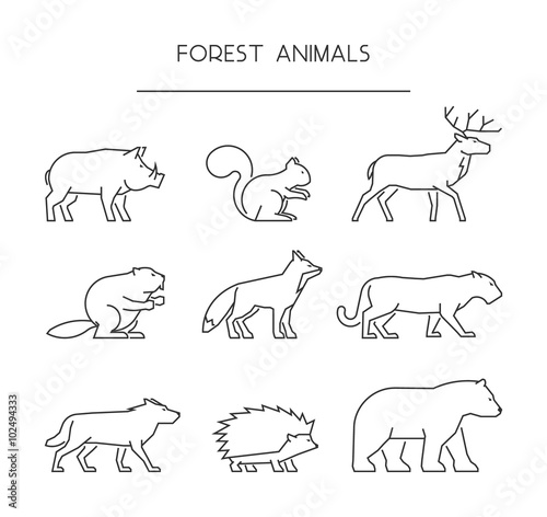 Line set of forest animals. Linear silhouettes animals isolated