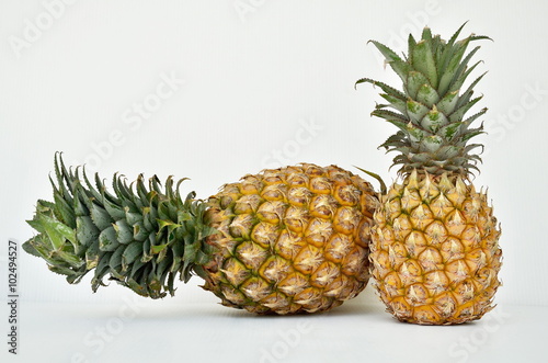 Pineapple pattern on white background