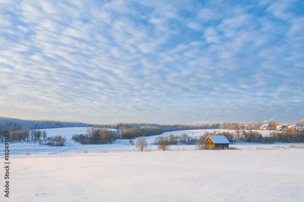 The cold. Muranovo. Moscow region, Russia