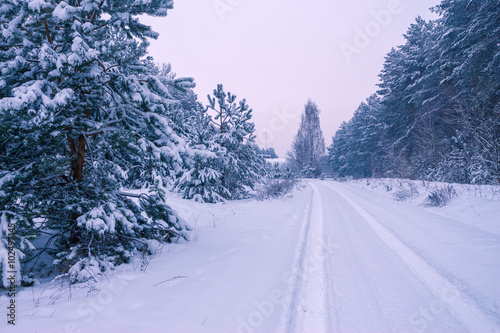 Rural winter snowy landscape © vvvita
