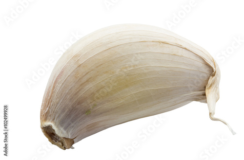 Sing garlic clove isolated on white background and clipping