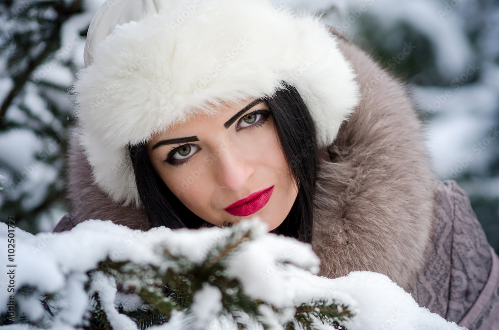 beauty girl in the winter beauty girl in the winter