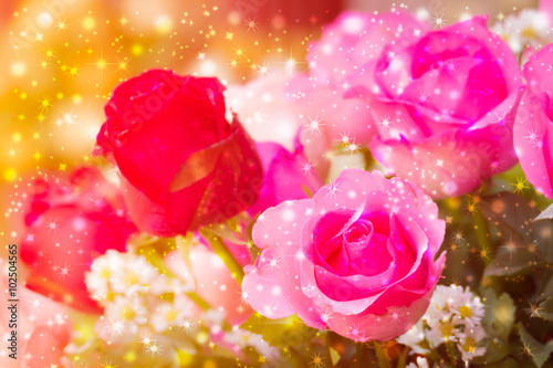 beautiful background with flowers roses photo