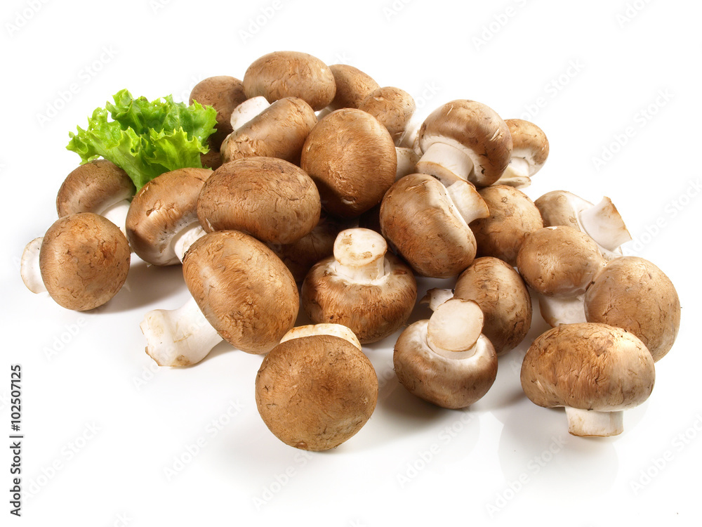 Steinchampignons