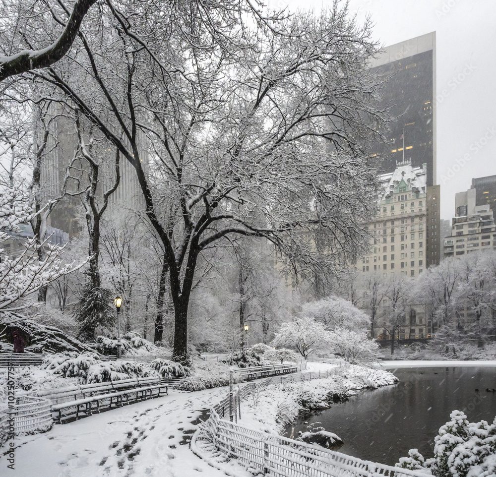 Fototapeta Central Park New York City, Manhattan during blizzard