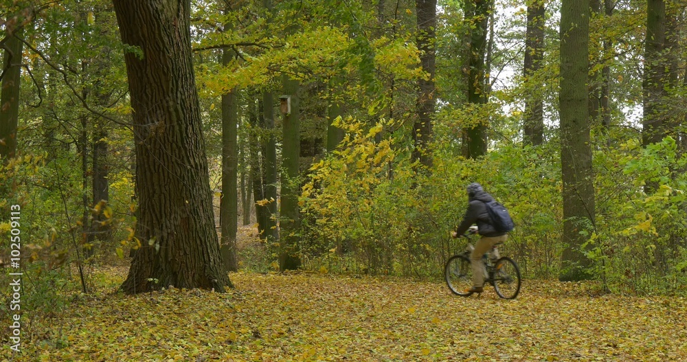 Man in Ushanka Hat With Fur Ear Flaps Warm Jacket Man with Backpack is Riding the Bicycle by Park Forest in Autumn Got Off the Bicycle Stood Under Tree Man in Ushanka Hat With Fur Ear Flaps Warm Jacket Man with Backpack is Riding the Bicycle by Park Forest in Autumn Got Off the Bicycle Stood Under Tree