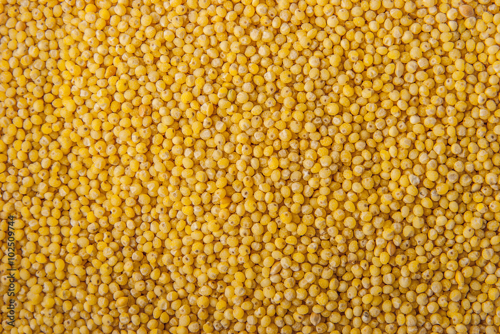 Millet background horizontal Millet background horizontal