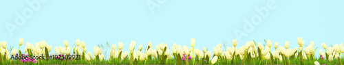 Spring meadow with sunny flowers. 3d rendering © 2mmedia