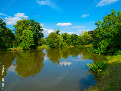 Summer greenery at park pond