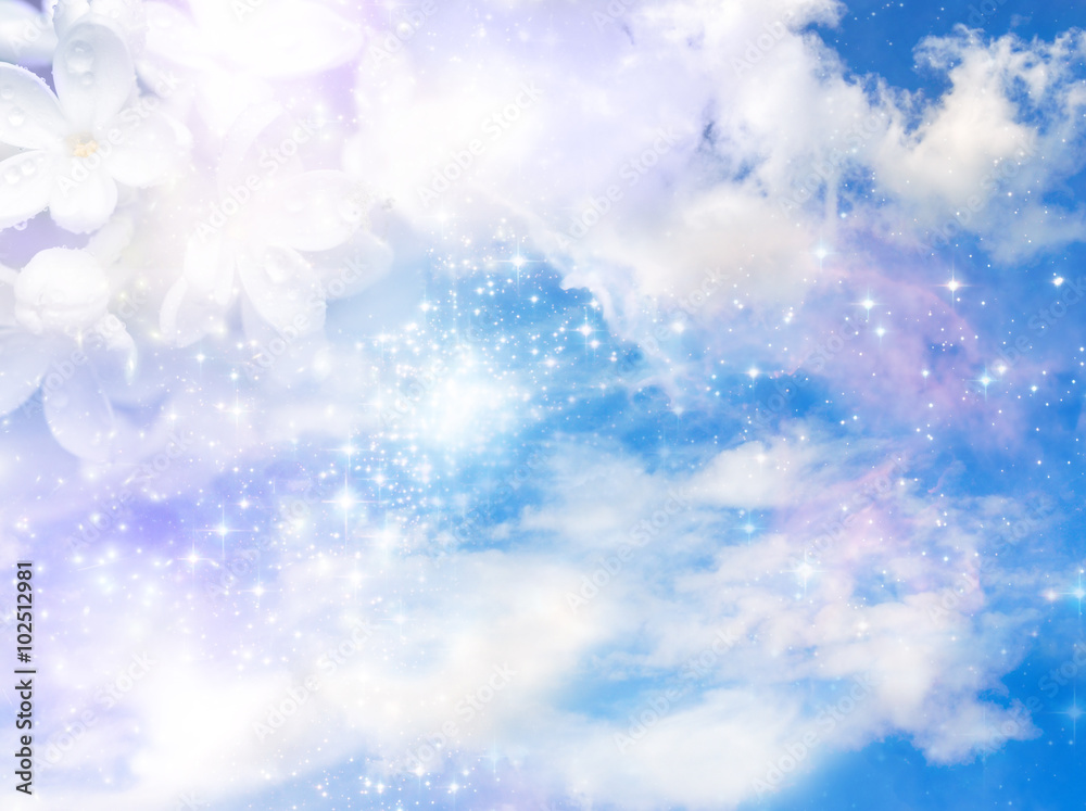 spring background with cloudy sky and white lilac flower spring background with cloudy sky and white lilac flower