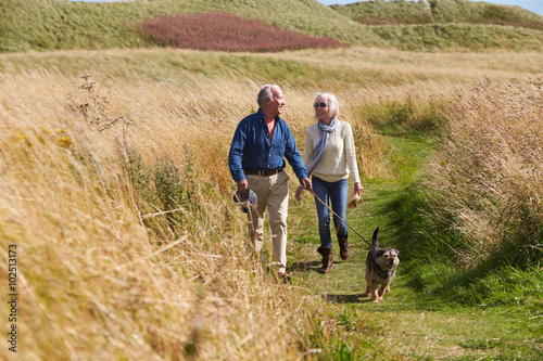 Senior Couple Taking Dog For Walk In Countryside