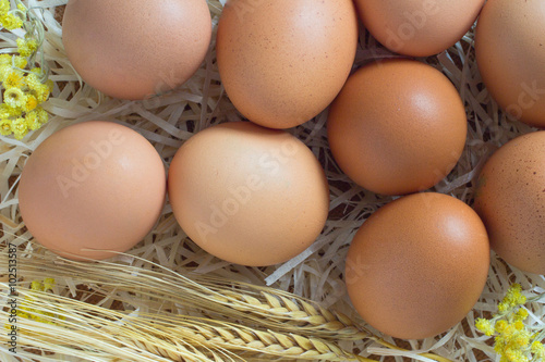 Brown eggs in the straw