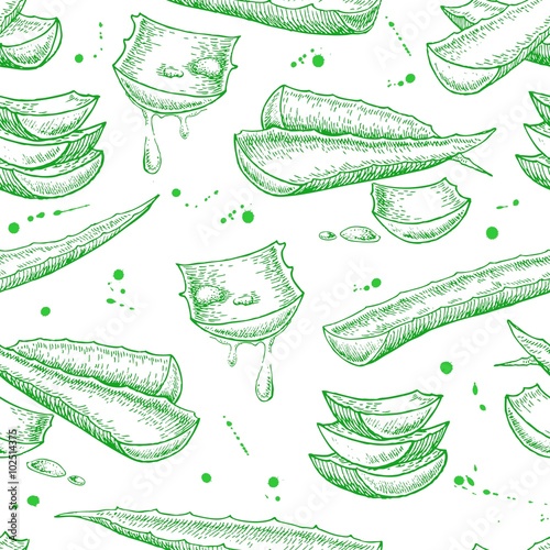 Vector seamless hand drawn botanical Aloe Vera pattern.