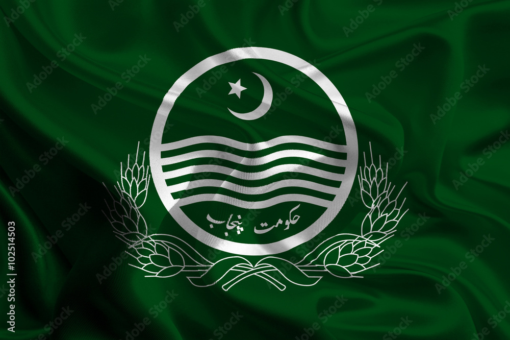 Flag of Punjab province, Pakistan Stock Illustration Adobe Stock