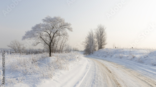 Winter in Moscow Region