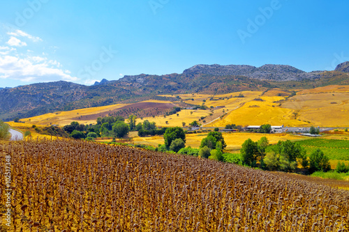 Andalusian view.