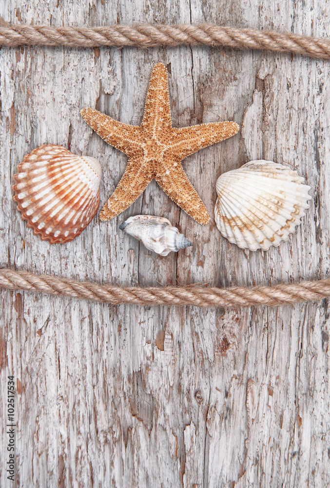 Seashells and rope on the old weathered wood Seashells and rope on the old weathered wood