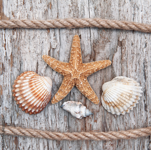 Seashells and rope on the old weathered wood