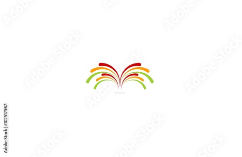 line abstract colorful firework logo