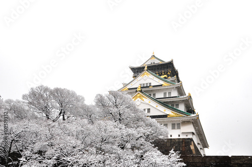 Osaka Castle under Snow with white background