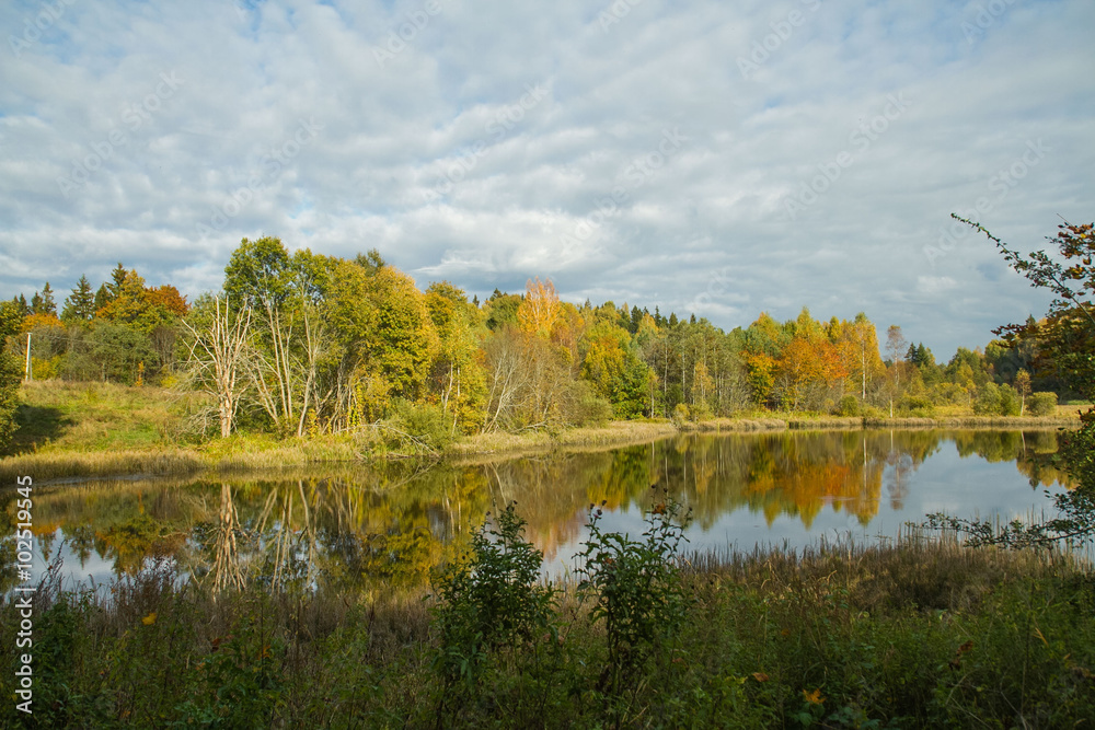Autumn trees and lake.