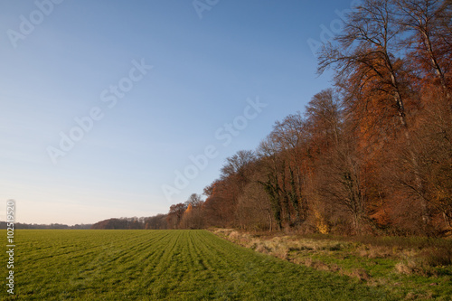 Herbstlandschaft mit blauem Himmel