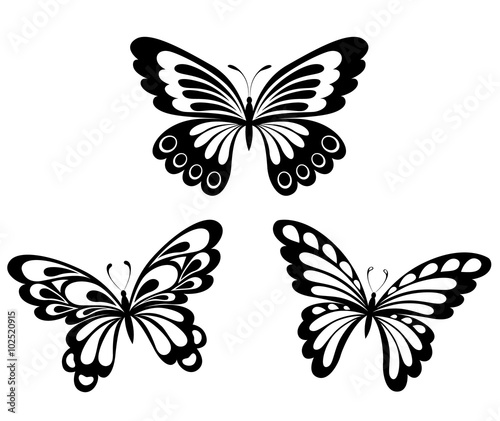 Set  black white butterflies of a tattoo