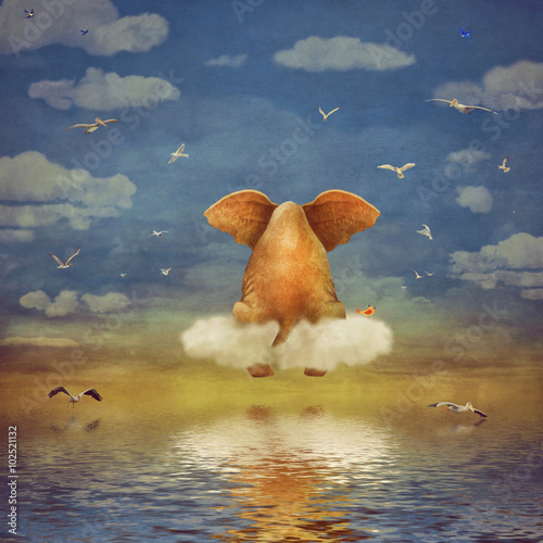 Photography Sad elephant sitting on cloud in  sky