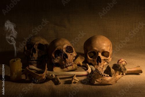 still life with skulls and bones