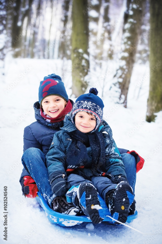 two brothers on sled