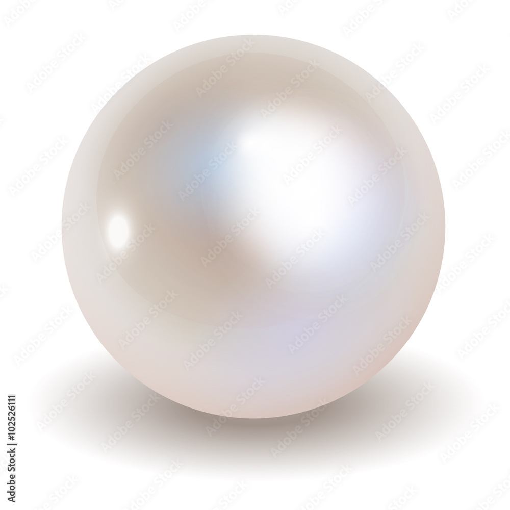 Pearl vector on white background.