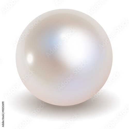 Photo Pearl vector on white background.