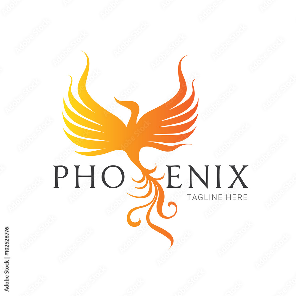 Naklejka premium Logo orła, logo ptaka, logo zwierząt, szablon logo wektorowego