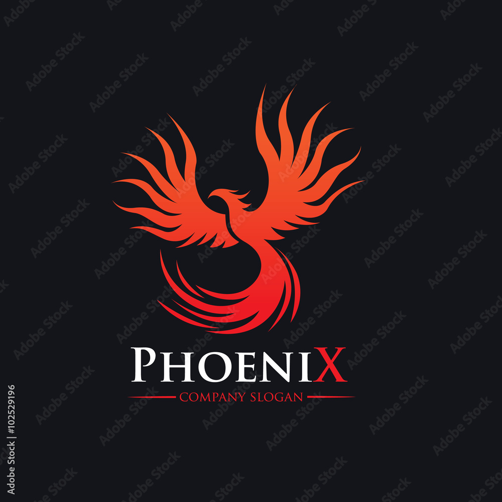 Obraz premium Eagle Logo,Bird logo,Animal logo,Vector logo template